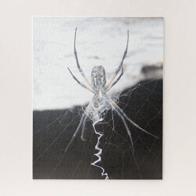 Araña rompecabezas (Vertical)