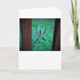 Araña, tarjeta
