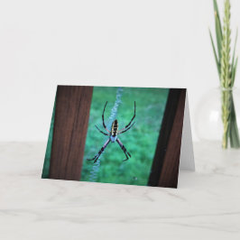 Araña, tarjeta