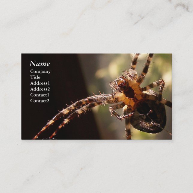 Araña - tarjetas de visita (Anverso)