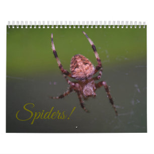 ¡Arañas! Calendario