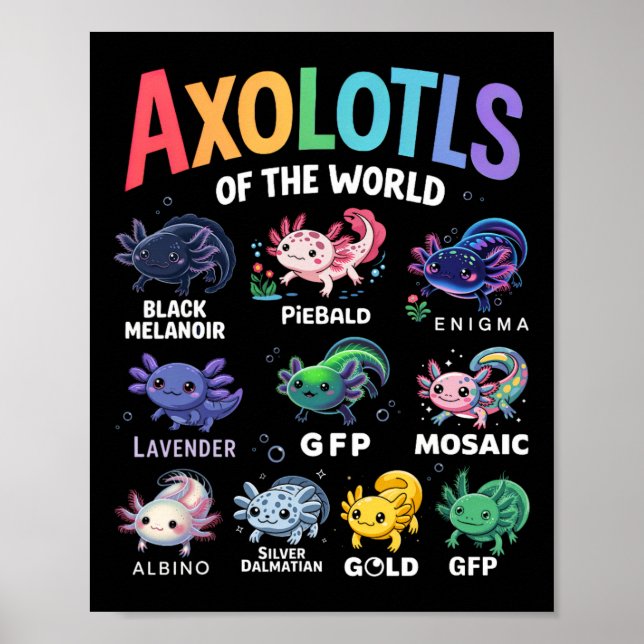 Araquísimos Del Mundo Kawaii Axolotl Arte Cuto (Frente)