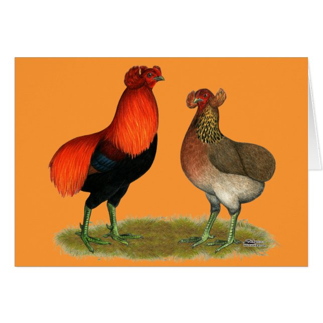Araucana Par Rojo (Anverso (Horizontal))