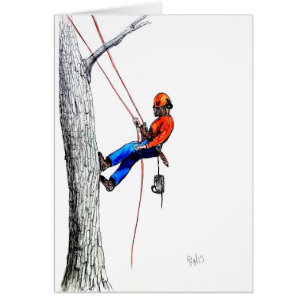 Árbitro cirujano Forester