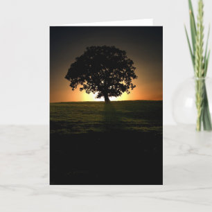 Árbol al atardecer. Tarjeta de cARTerART.