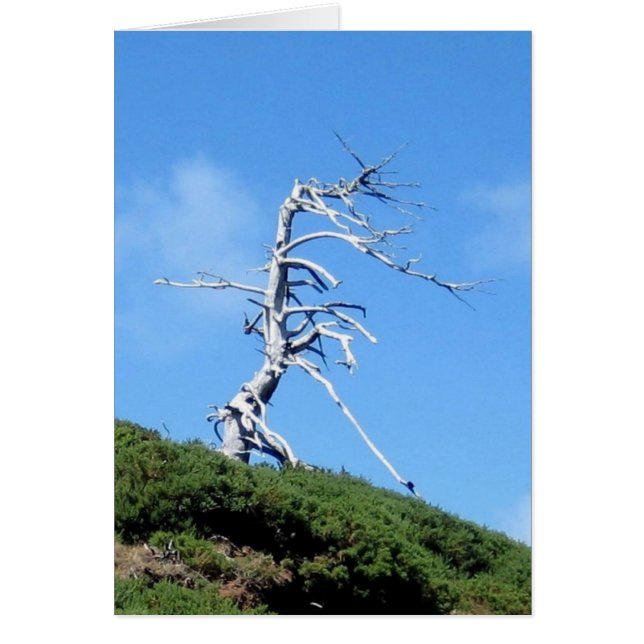 árbol alienígena (Frente)