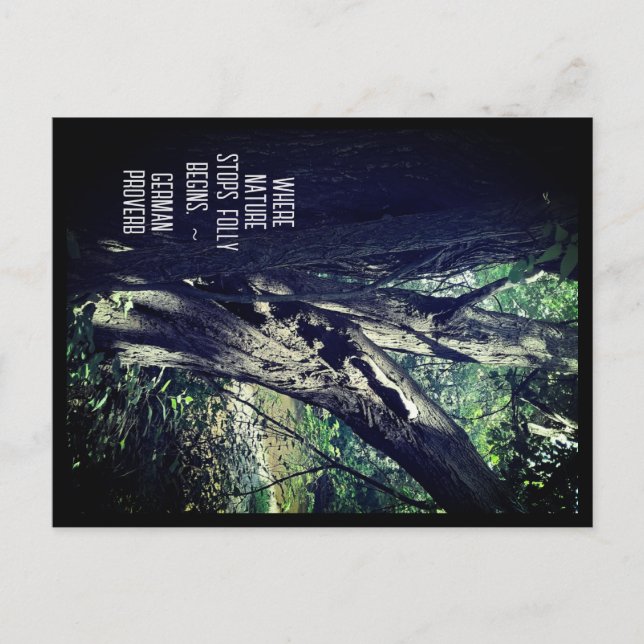 Árbol antiguo en la postal de Woods y Proverbio Al (Anverso)