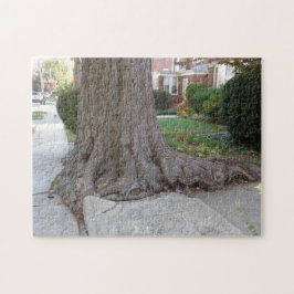 Árbol antiguo y raíces dañan el rompecabezas de Ji