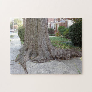 Árbol antiguo y raíces dañan el rompecabezas de Ji