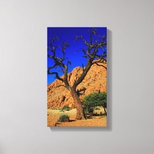 Árbol azul cielo rojo árbol Namibia lienzo impreso