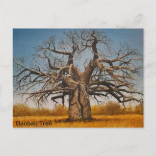 Árbol baobab de postal