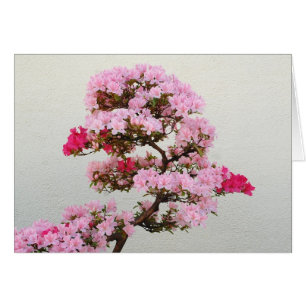 Árbol Bonsai Rosa