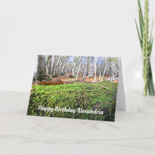 Árbol caído en otoño de Moscú - Tarjeta de cumplea