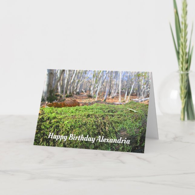 Árbol caído en otoño de Moscú - Tarjeta de cumplea (Anverso)