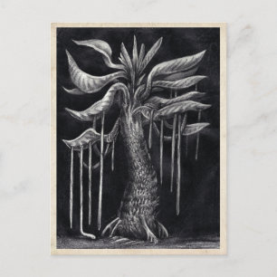 Árbol carnívoro - Postal