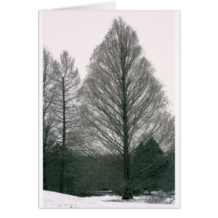 Árbol - colina NYC de la onda