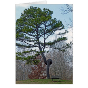 Árbol con dos caras