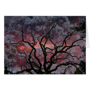 Árbol cósmico - centro de la vía láctea