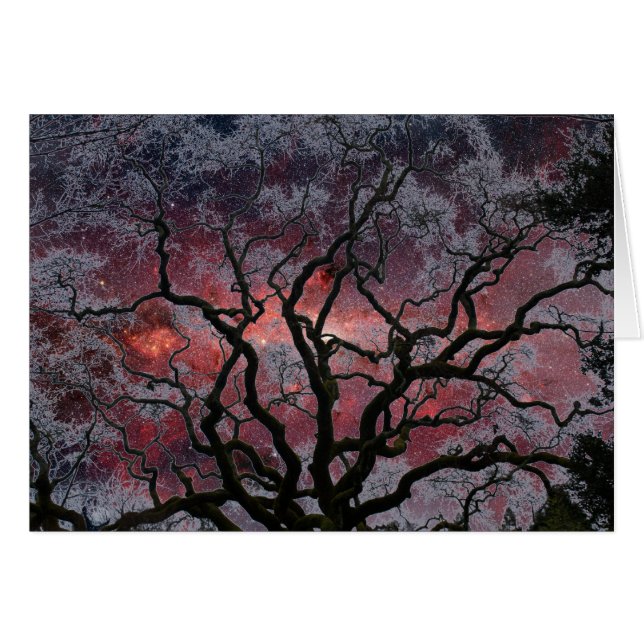 Árbol cósmico - centro de la vía láctea (Anverso (Horizontal))