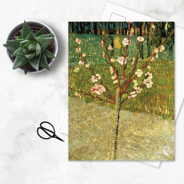 Árbol de almendros en la tarjeta postal Blossom Vi (Subido por el creador)