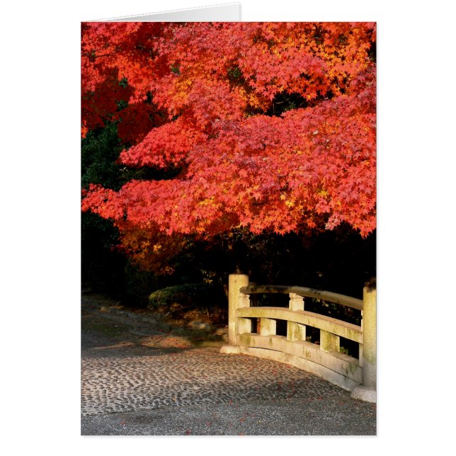 Árbol de arce rojo y puente japonés (Frente)