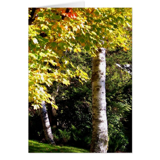 Árbol de aves (Frente)