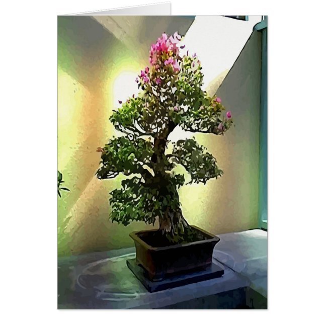 Árbol de Bougainvillea Bonsai (Frente)