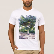 Árbol de camiseta sabia