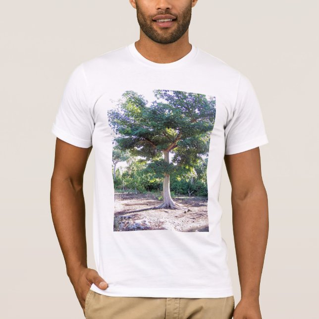 Árbol de camiseta sabia (Anverso)