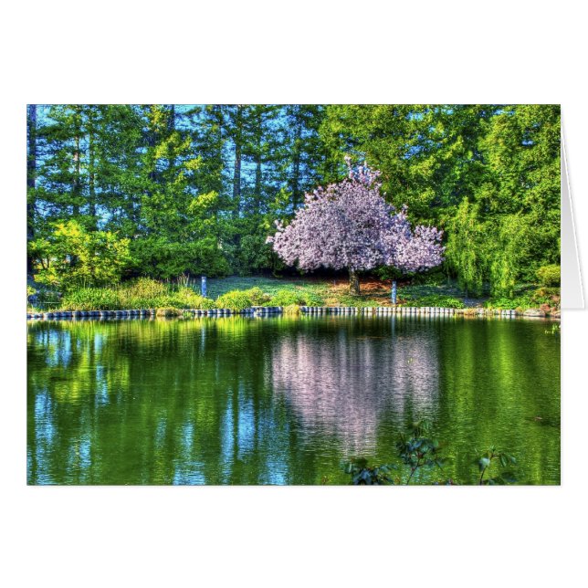 Árbol de cerezas (Anverso (Horizontal))