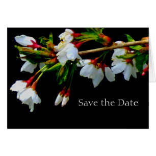 Árbol de cerezo con flores blancas, foto de flores