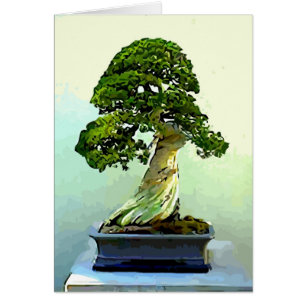 Árbol de Cypress de los bonsais