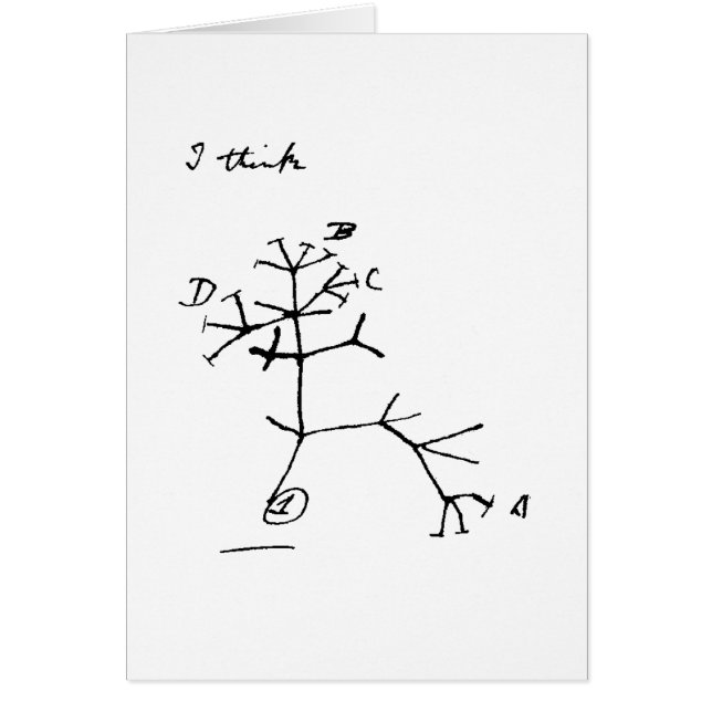 Árbol de Darwin (Frente)