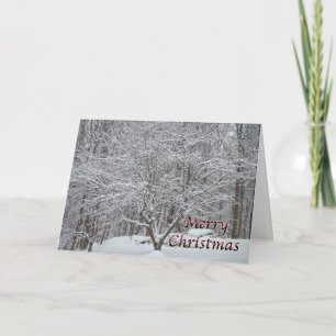 Árbol de dogwood Navidad en nieve