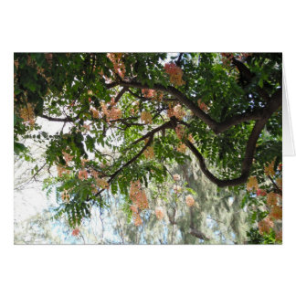 Árbol de ducha