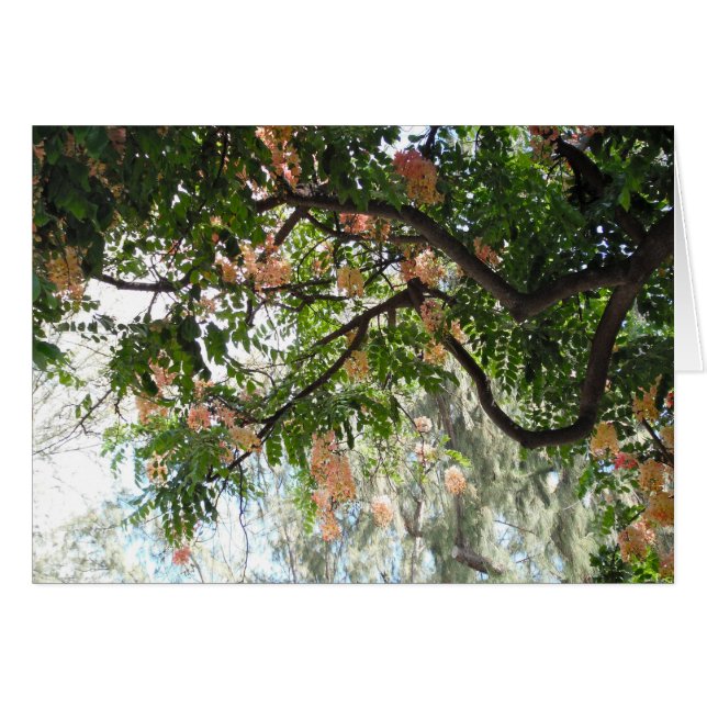 Árbol de ducha (Anverso (Horizontal))