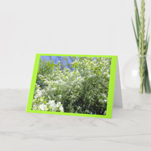 Árbol de espina de halcón en tarjeta de nota en bl