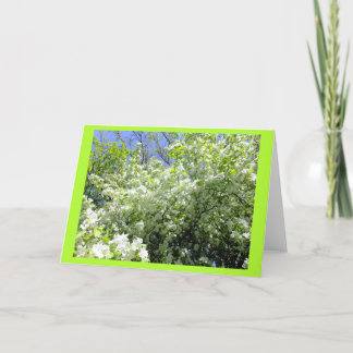 Árbol de espina de halcón en tarjeta de nota en bl