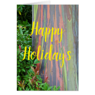 Árbol de Eucaliptos Arcoiris Felices Fiestas