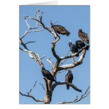 Árbol de familia vulgar