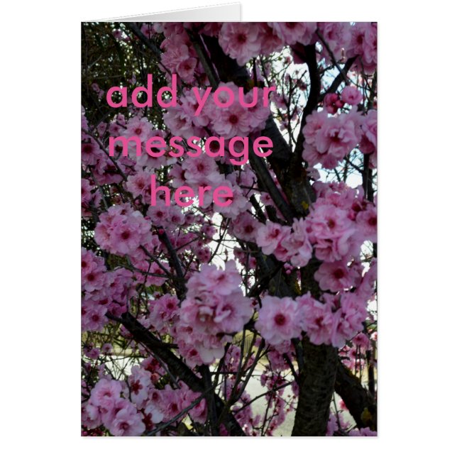 Árbol de flores de primavera rosada, (Frente)