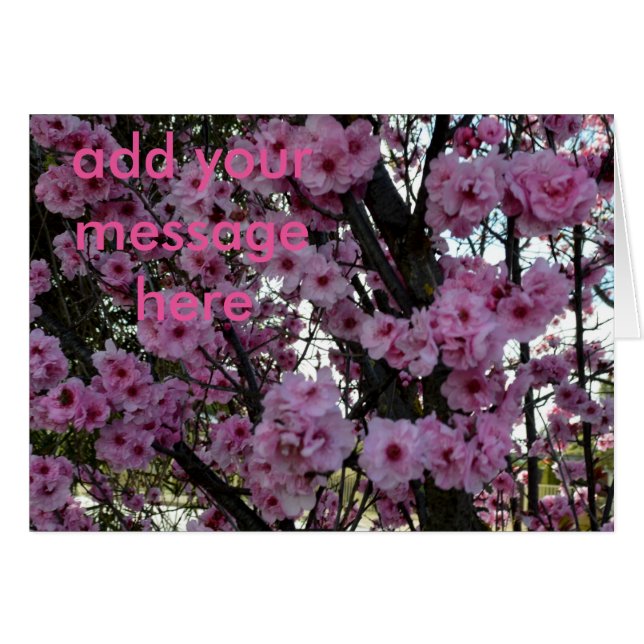 Árbol de flores de primavera rosada, (Anverso (Horizontal))