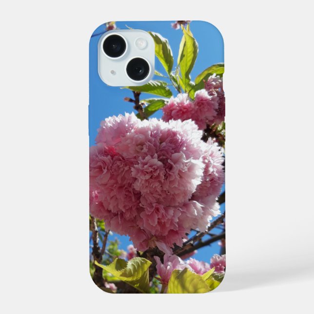 Árbol de flores rosadas de cerezo silvestre (Reverso )