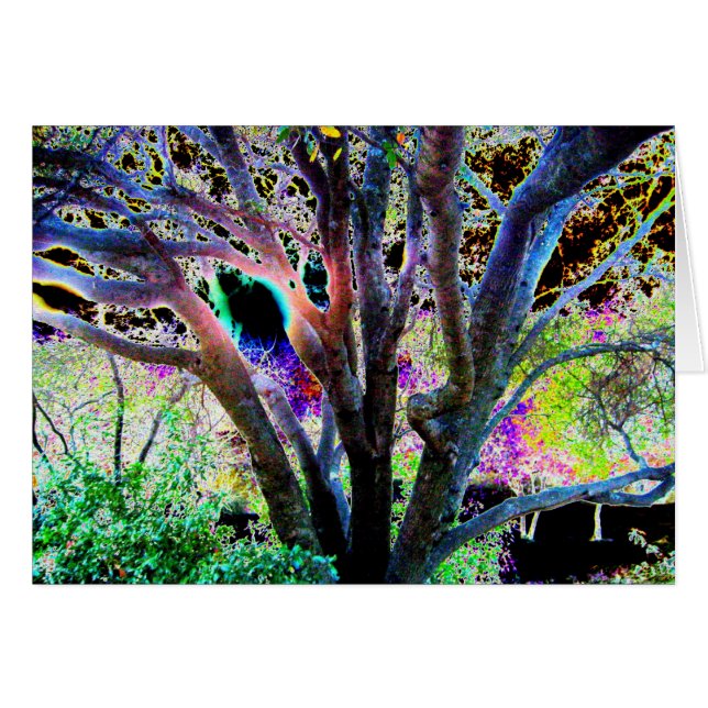 Árbol de hadas (Anverso (Horizontal))