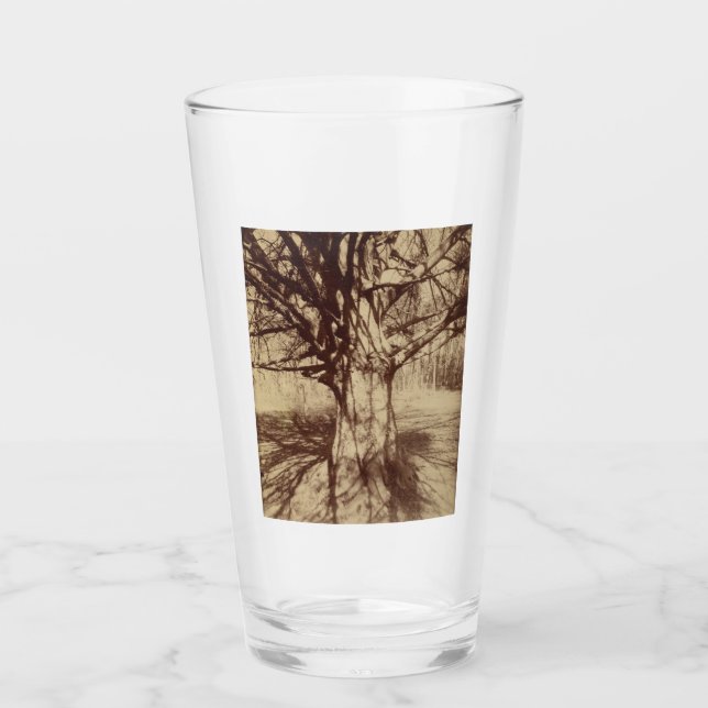 Árbol de haya (por Eugène Atget) (Anverso)