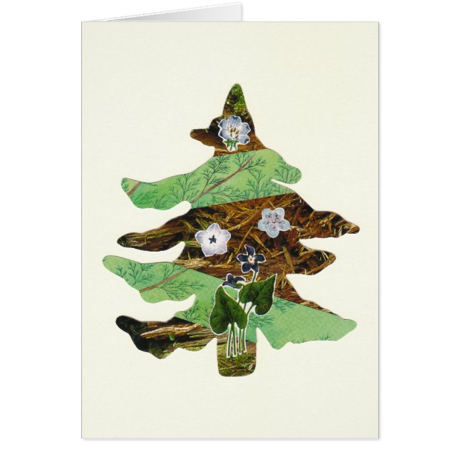 Árbol de hoja perenne y flores (Frente)