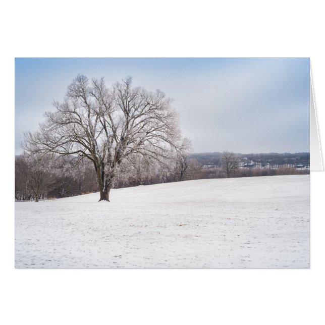 Árbol de invierno (Anverso (Horizontal))