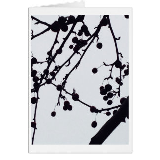 Árbol de la baya contra el cielo