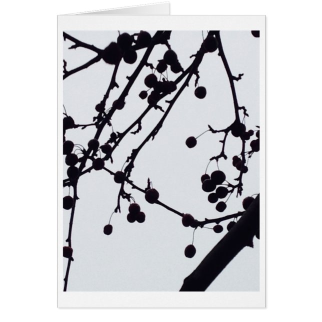 Árbol de la baya contra el cielo (Frente)