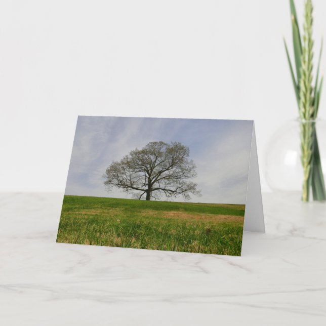 Árbol de la tarjeta de la vida (Anverso)